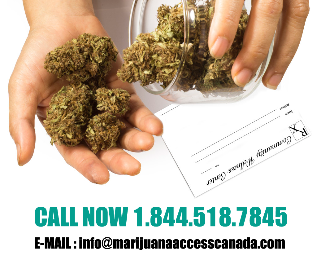 marijuana-canada-home1-1024x839