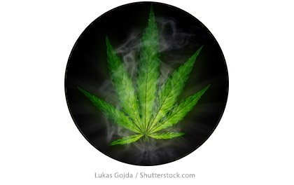 LeafSmoke1NewsImagesTemplate420wV2A.jpg