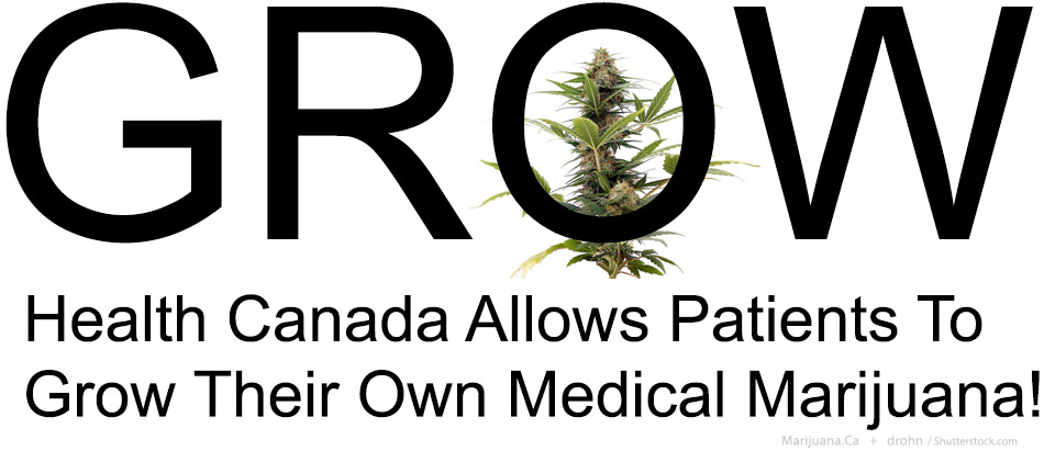 Grow2Featured950x700Image16.jpg