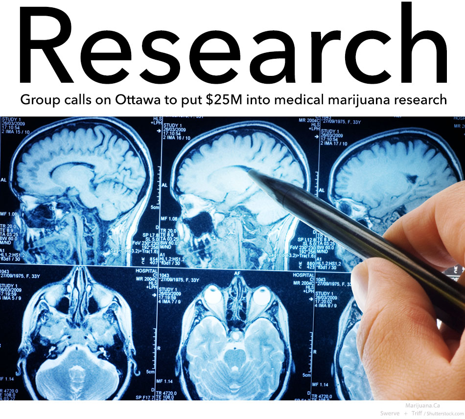 Research25Mv1Featured950x700Image14A.jpg