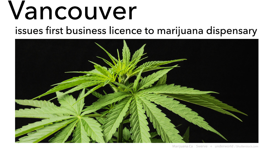 VanFirstLicense1Featured950x700Image14A.jpg