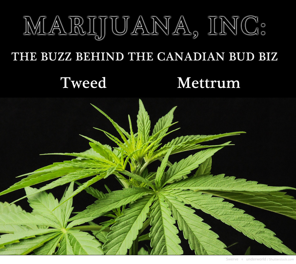 MarIncBudBiz1Featured950x700Image12D.jpg