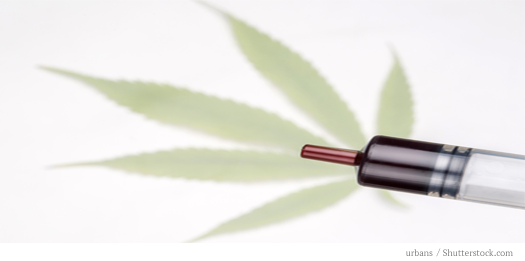 MarijuanaOil.png