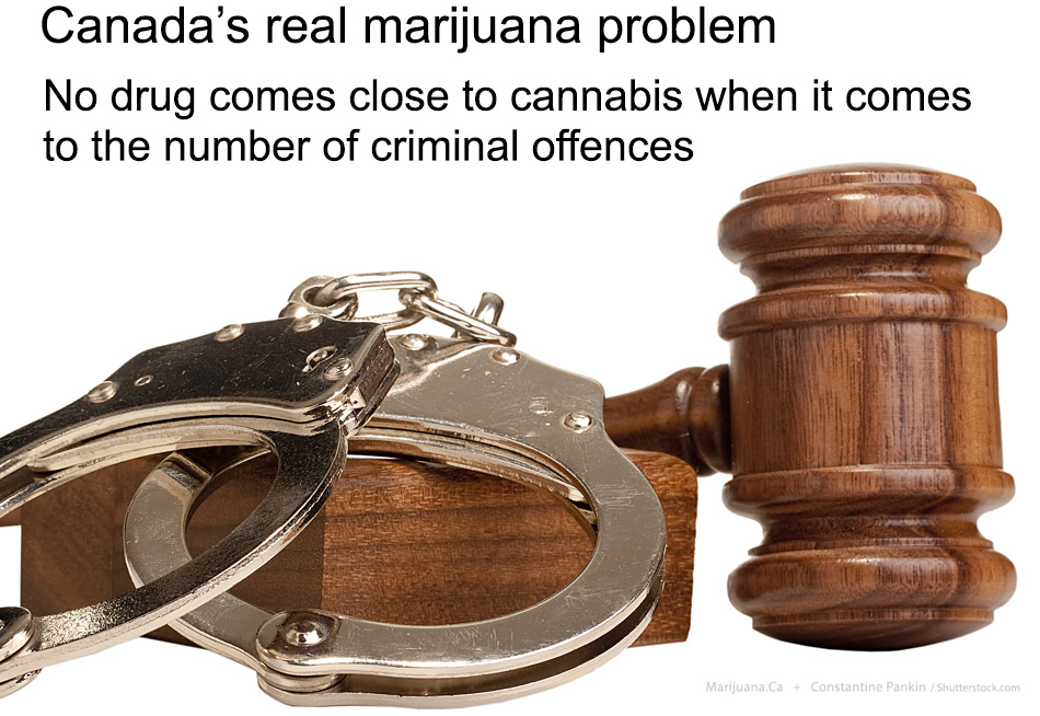 Criminality1Featured950x700Image16.jpg