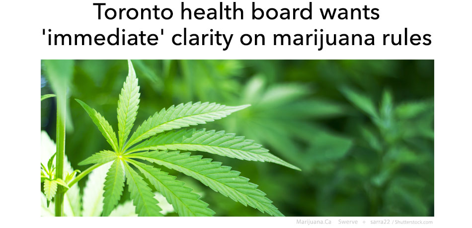 TorontoHealth1Featured950x700Image14.jpg