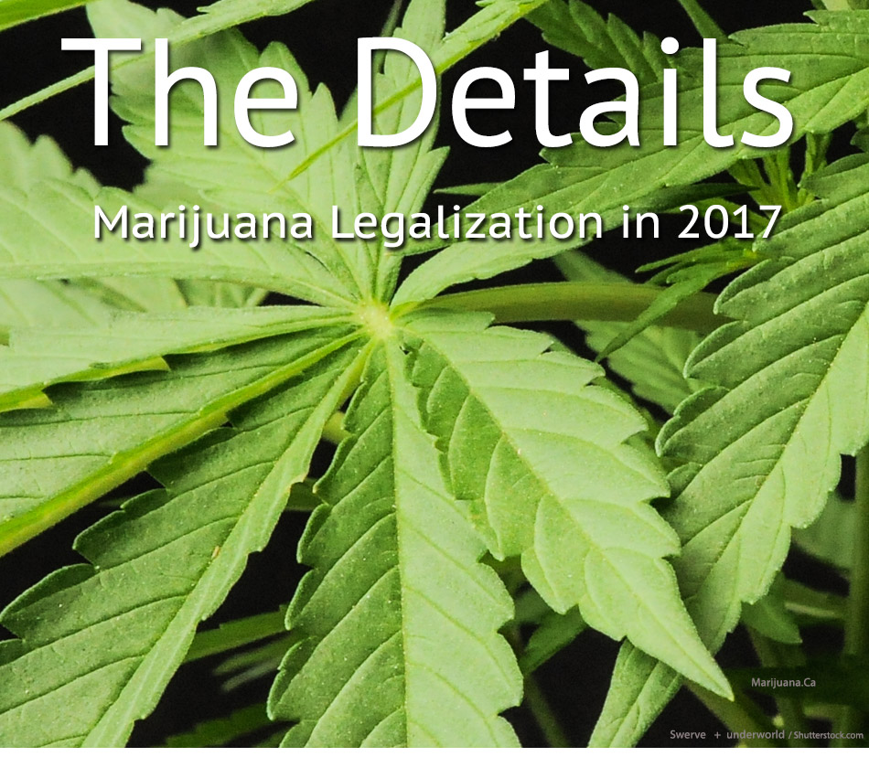 TheDetailsLegalization1Featured950x700Image13A.jpg
