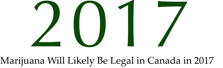 2017V5Featured950x700Image13X.png