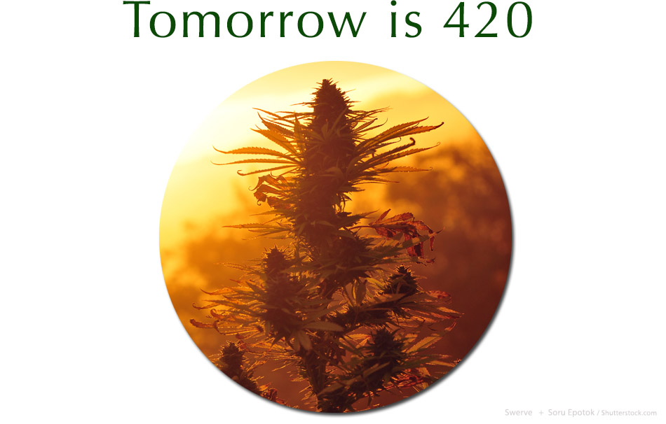 Tomorrow420v1Featured950x700Image13A.jpg