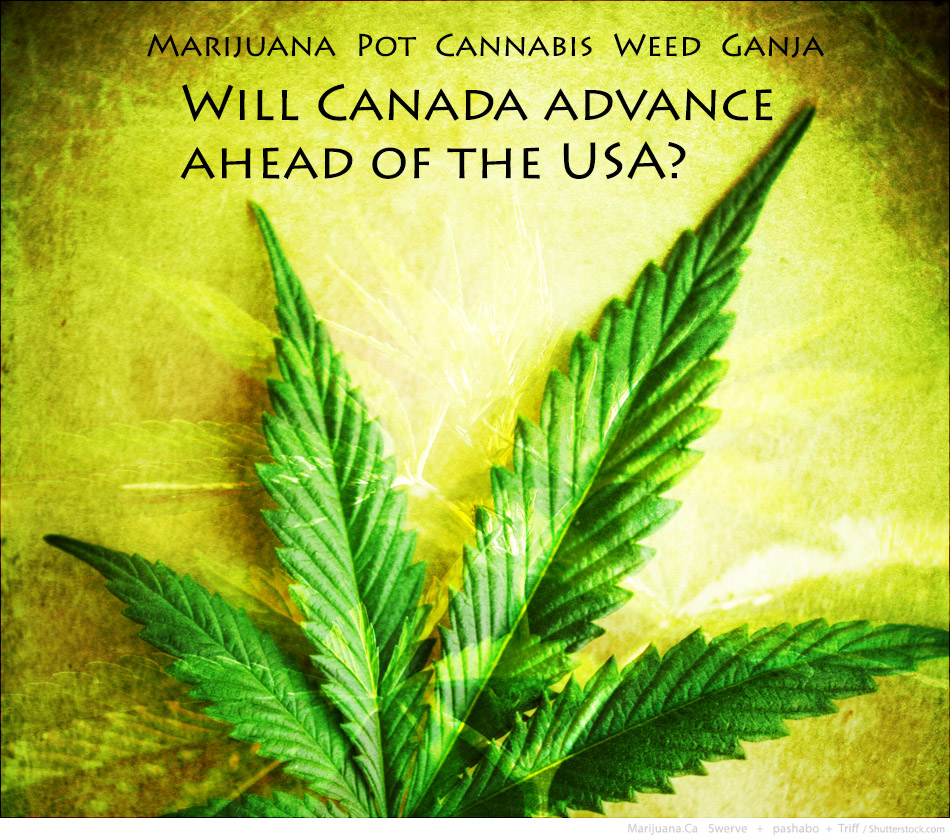 CanadaUSA1Featured950x700Image14A.jpg