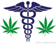 MedicineSnakeLeafLogo1.jpg