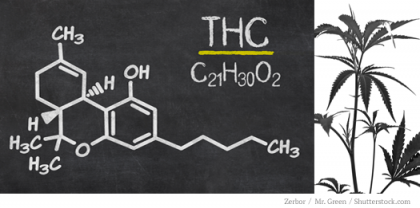 THCChalkBoardAndPlant.png