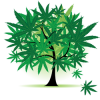 MFundTree2.png